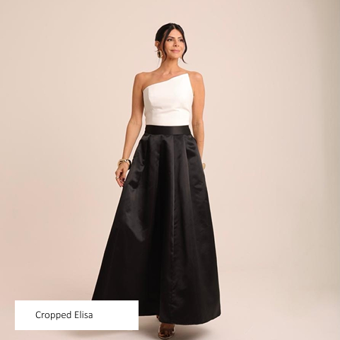 Banner Elisa